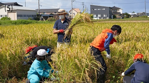 次世代へ農業をつなぎたいという思いから、20年以上続けている小学生の体験教室。春に自分たちで植えた稲を秋に収穫する。