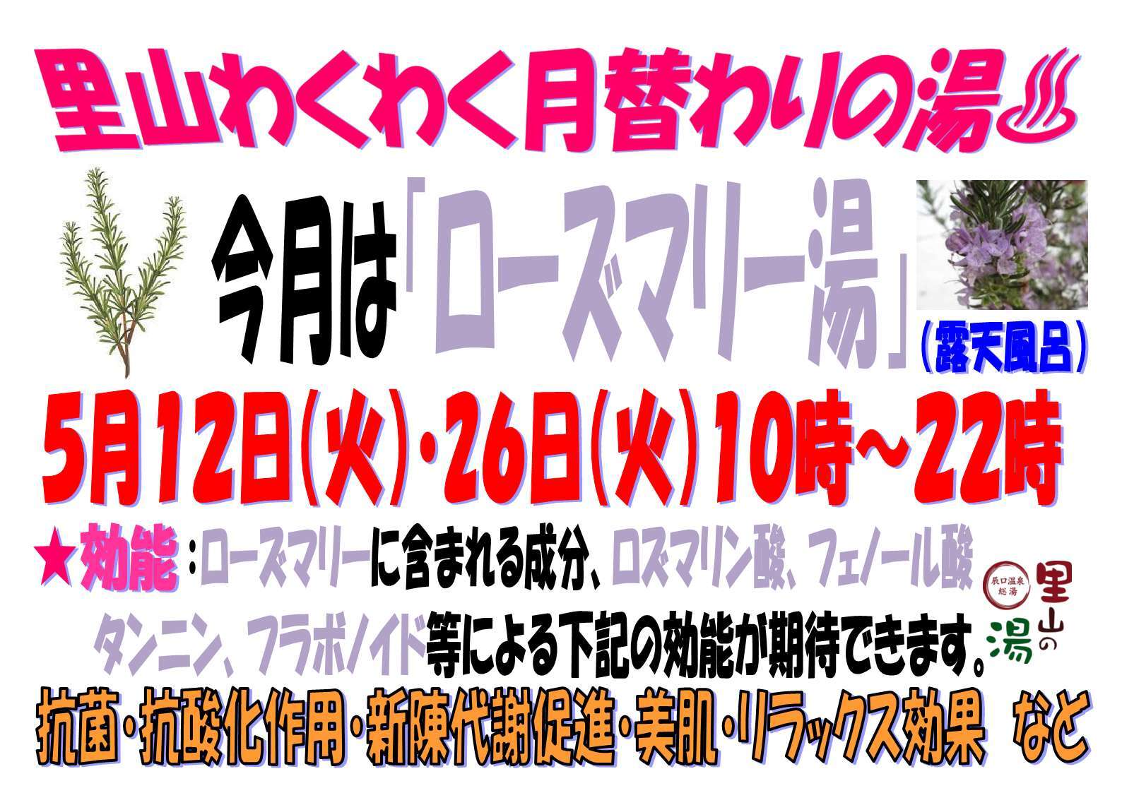 5月は「ローズマリー湯」