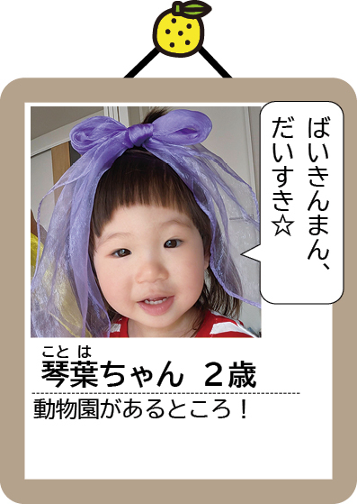琴葉ちゃん